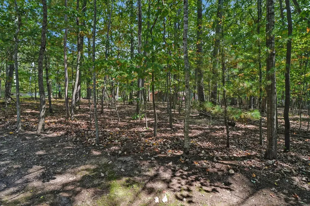 19 Trafalgar Lane Crossville TN 38558