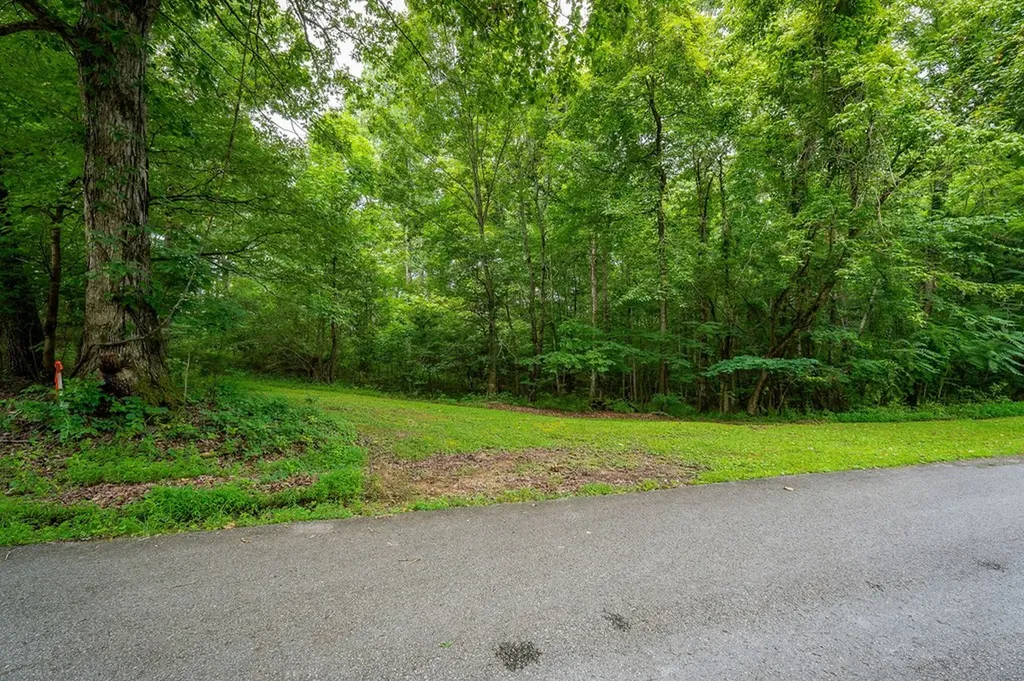 1149 Camp Overton Rock Island TN 38581