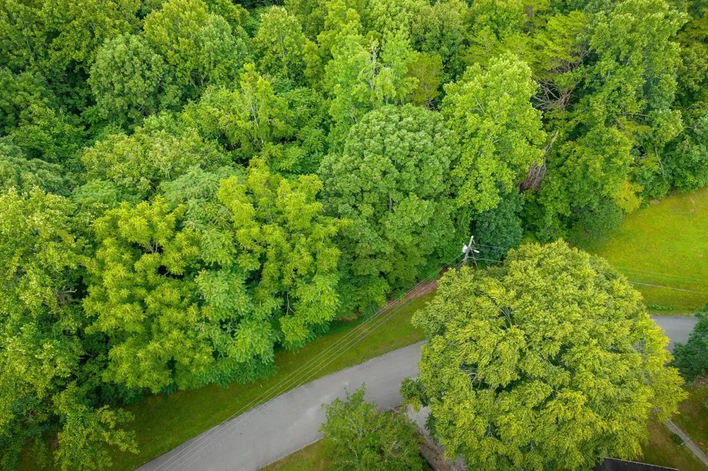1149 Camp Overton Rock Island TN 38581