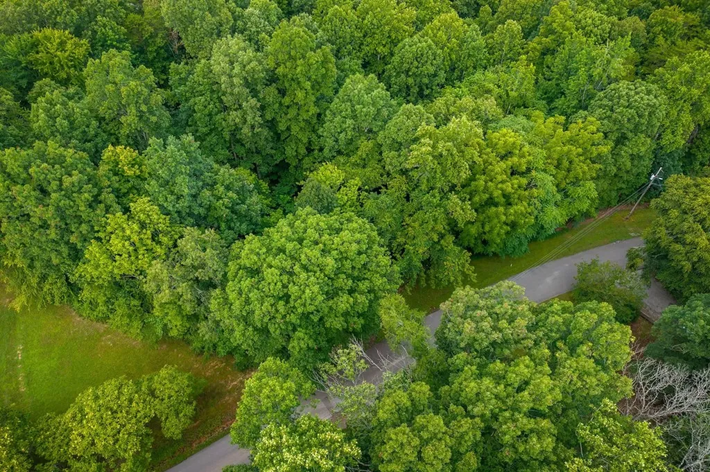 1149 Camp Overton Rock Island TN 38581
