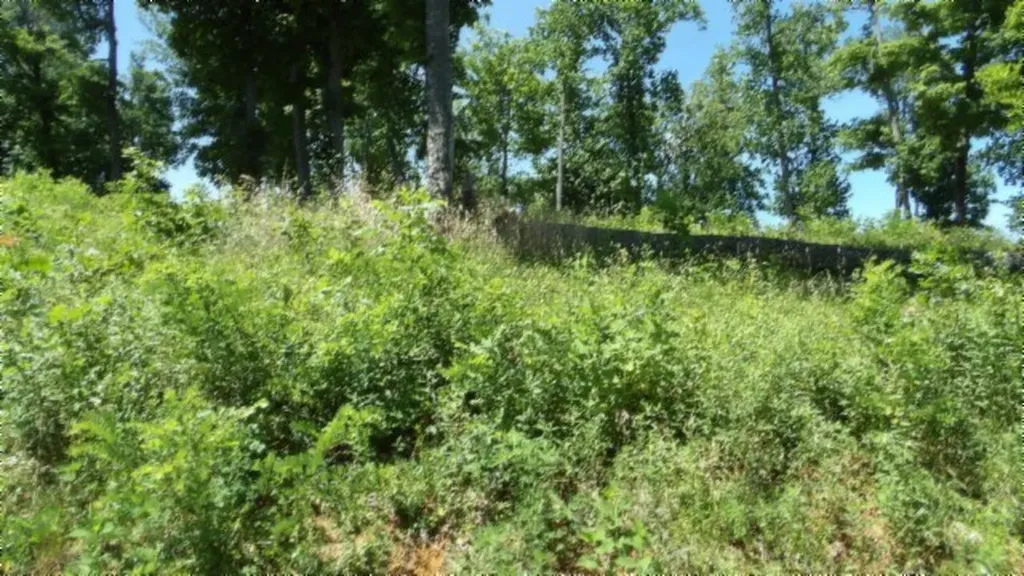 Lot 7e Rock Fish Lane Hilham TN 38568