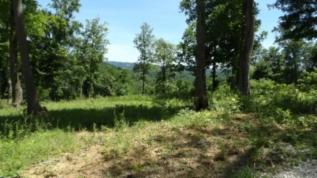 Lot 7e Rock Fish Lane Hilham TN 38568