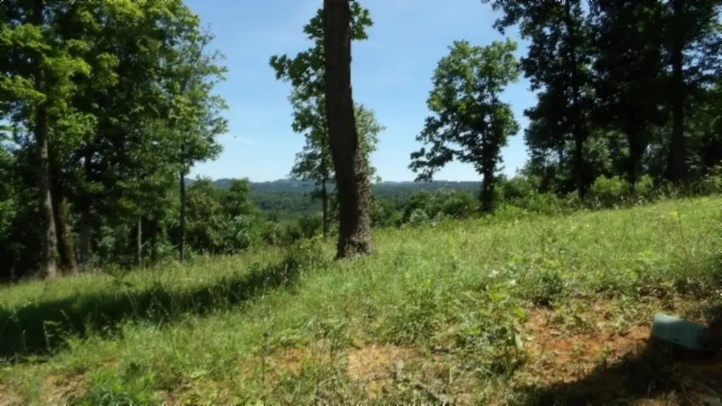 Lot 7e Rock Fish Lane Hilham TN 38568