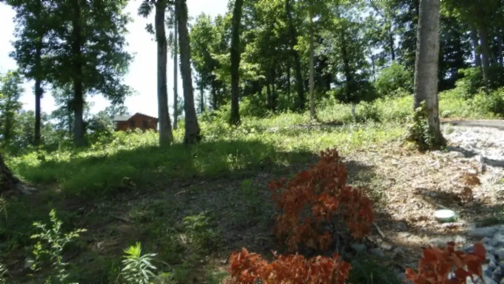 Lot 7e Rock Fish Lane Hilham TN 38568