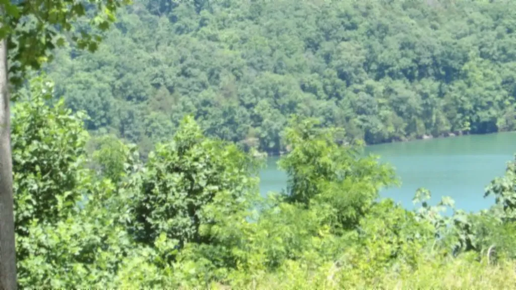 Lot 7e Rock Fish Lane Hilham TN 38568