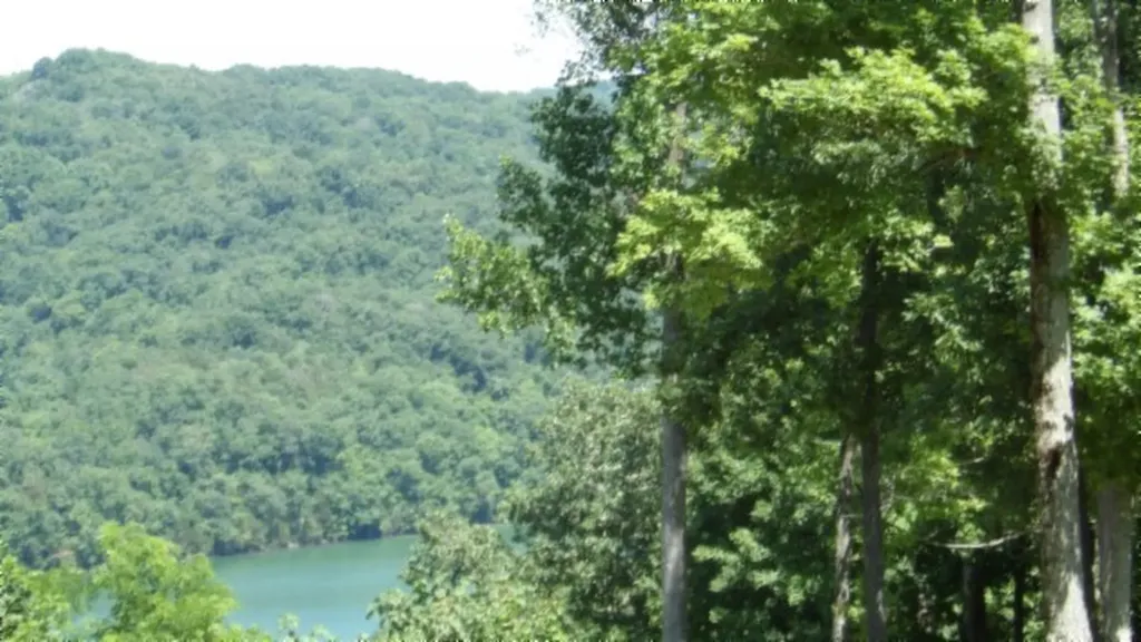 Lot 7e Rock Fish Lane Hilham TN 38568