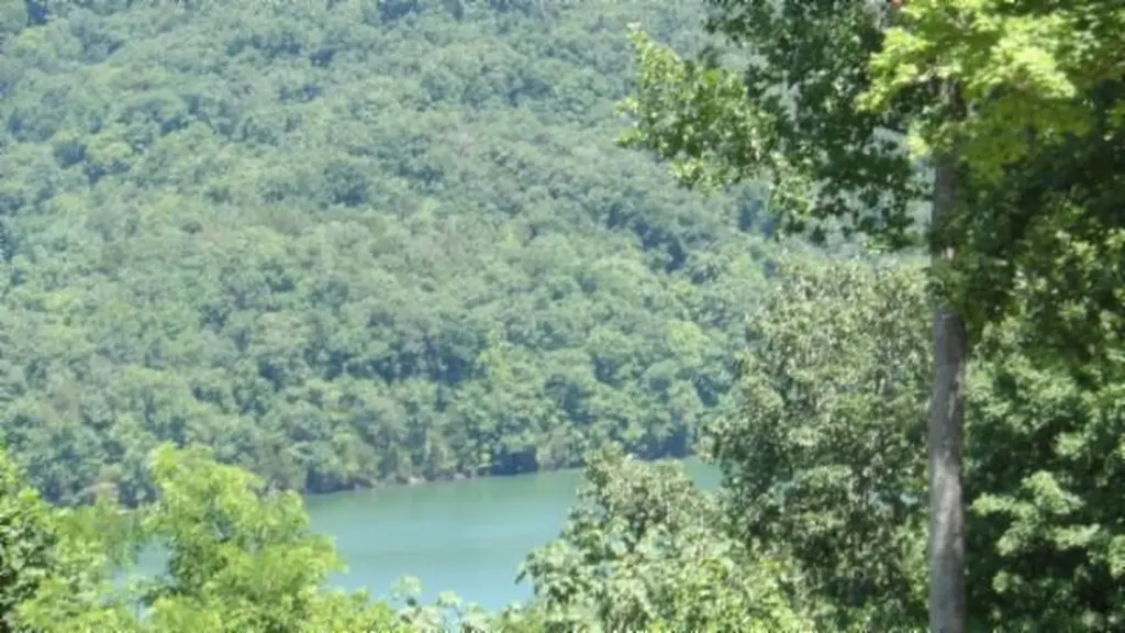 Lot 7e Rock Fish Lane Hilham TN 38568