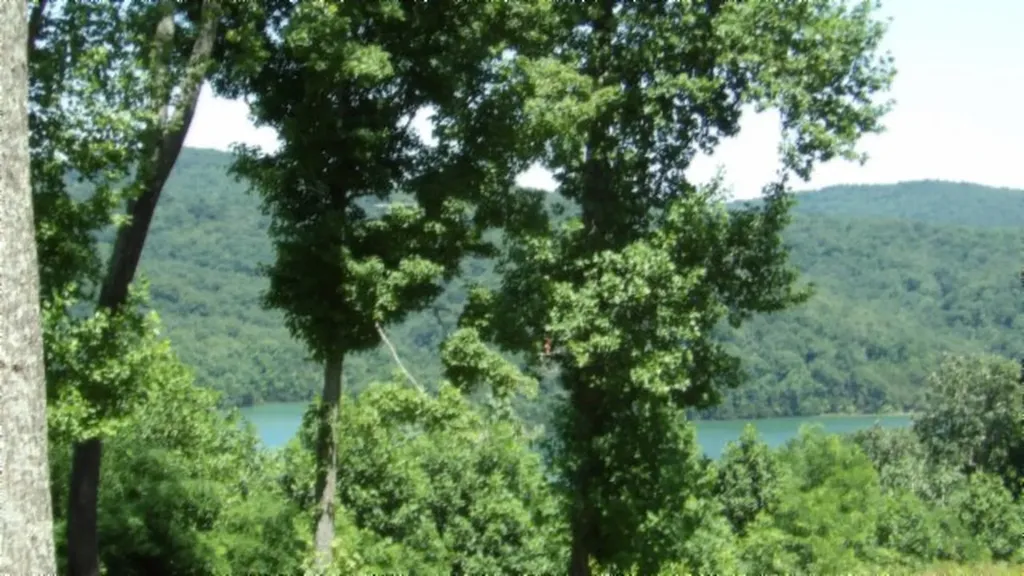 Lot 7e Rock Fish Lane Hilham TN 38568