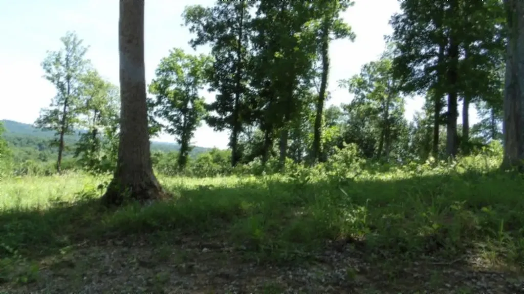Lot 7e Rock Fish Lane Hilham TN 38568