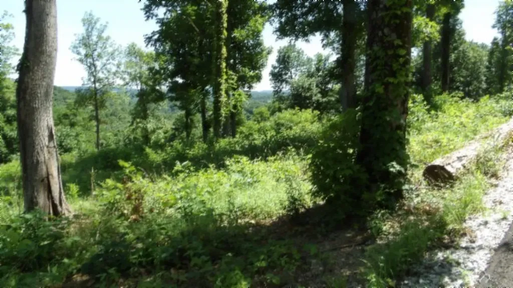 Lot 7e Rock Fish Lane Hilham TN 38568