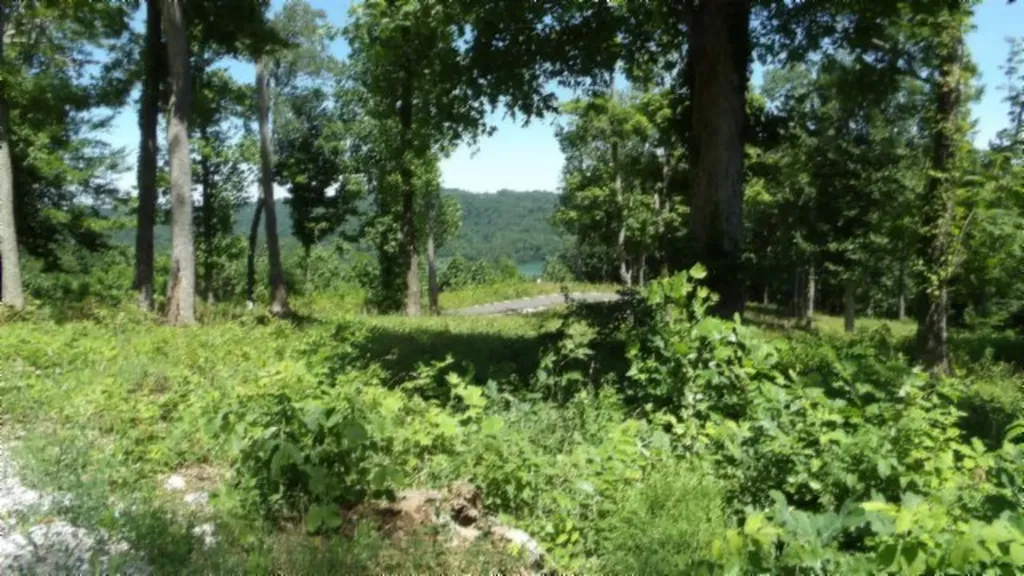 Lot 7e Rock Fish Lane Hilham TN 38568