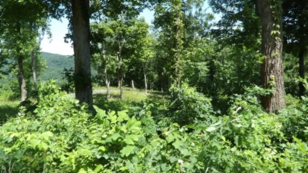 Lot 7e Rock Fish Lane Hilham TN 38568