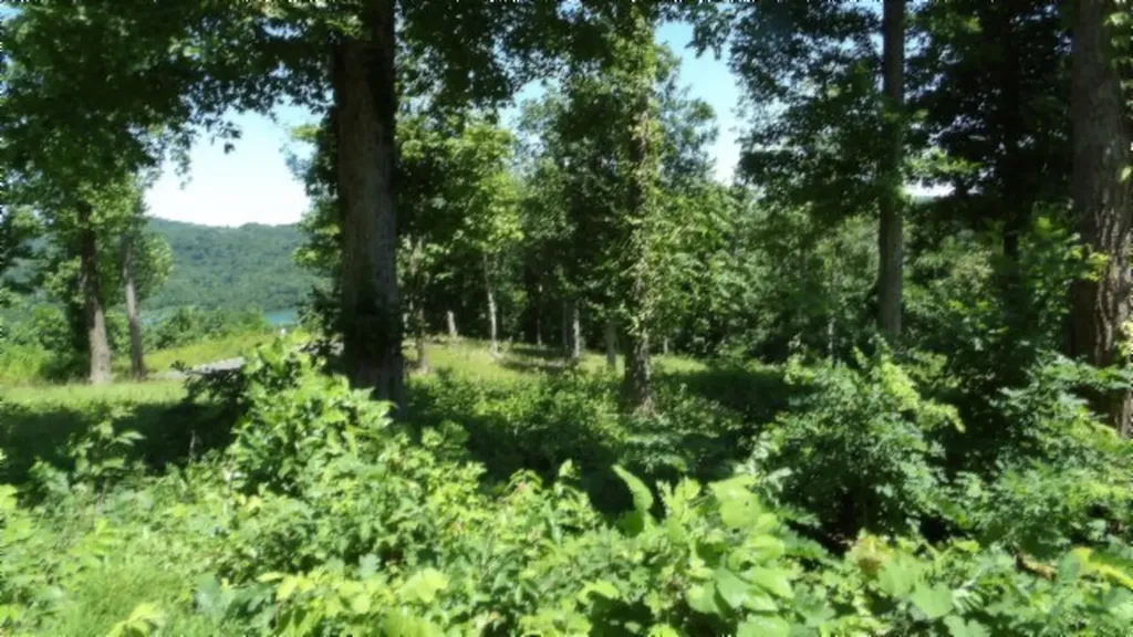 Lot 7e Rock Fish Lane Hilham TN 38568