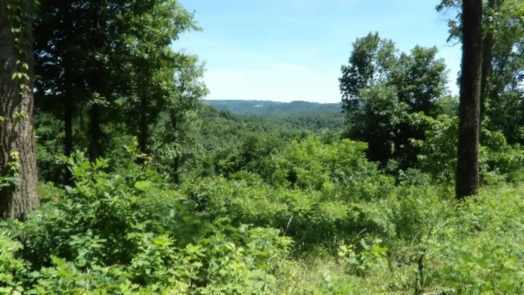 Lot 7e Rock Fish Lane Hilham TN 38568
