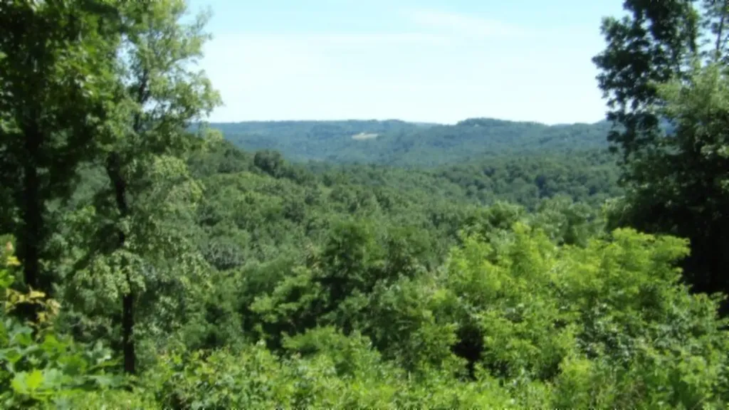 Lot 7e Rock Fish Lane Hilham TN 38568