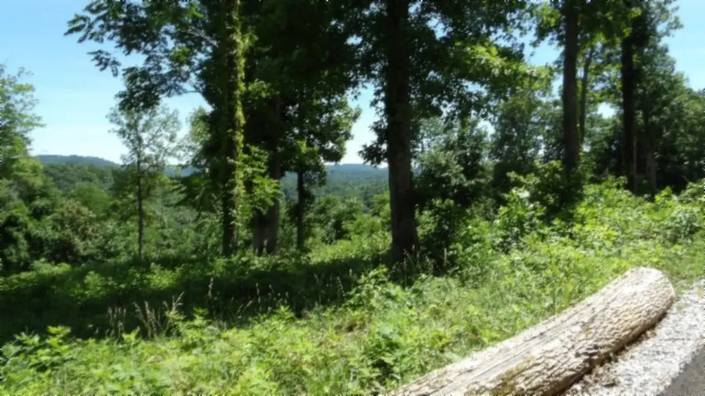 Lot 7e Rock Fish Lane Hilham TN 38568
