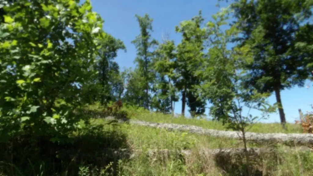 Lot 7e Rock Fish Lane Hilham TN 38568