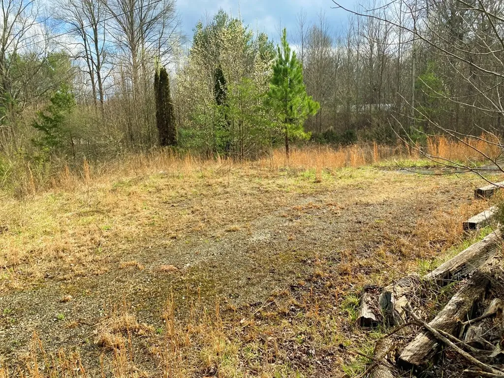 33 Friar Tuck Loop Spencer TN 38585