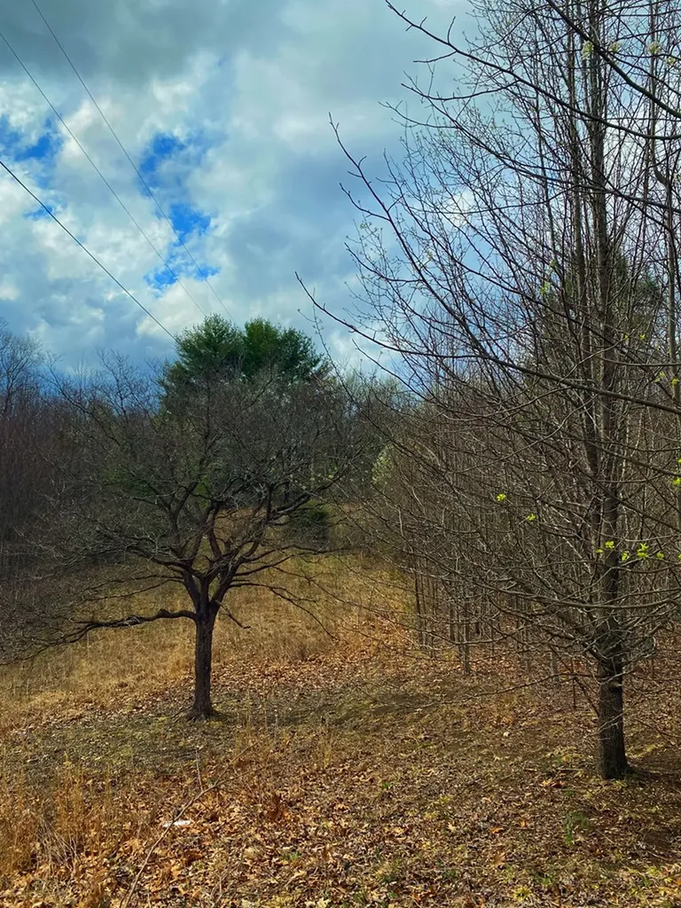 33 Friar Tuck Loop Spencer TN 38585