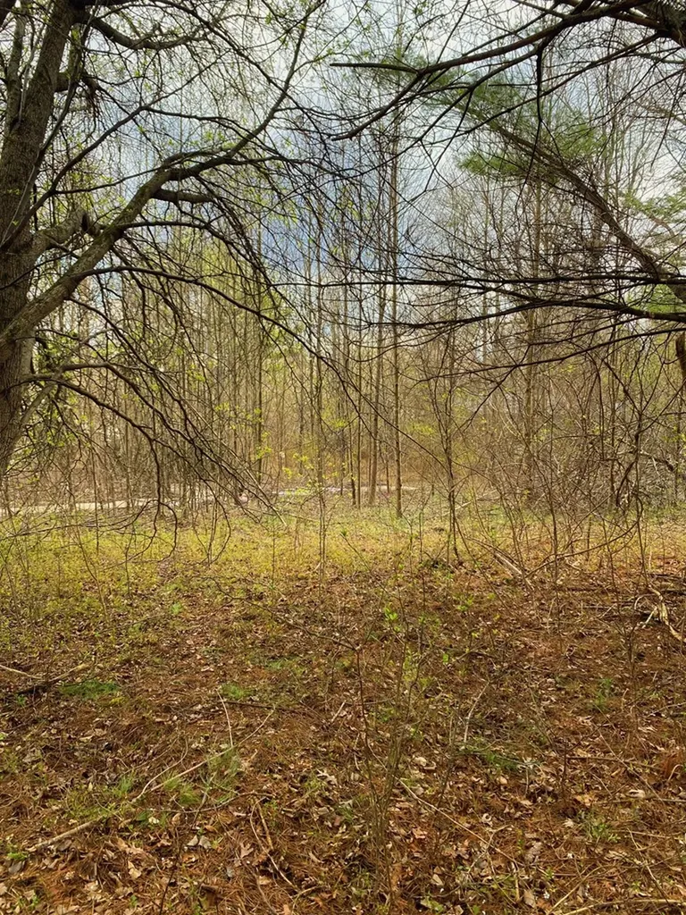 33 Friar Tuck Loop Spencer TN 38585