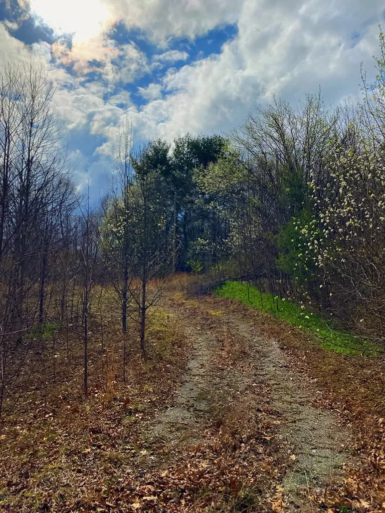 33 Friar Tuck Loop Spencer TN 38585