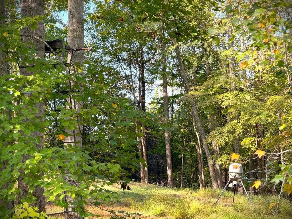 3524 Griffintown Road Sparta TN 38583