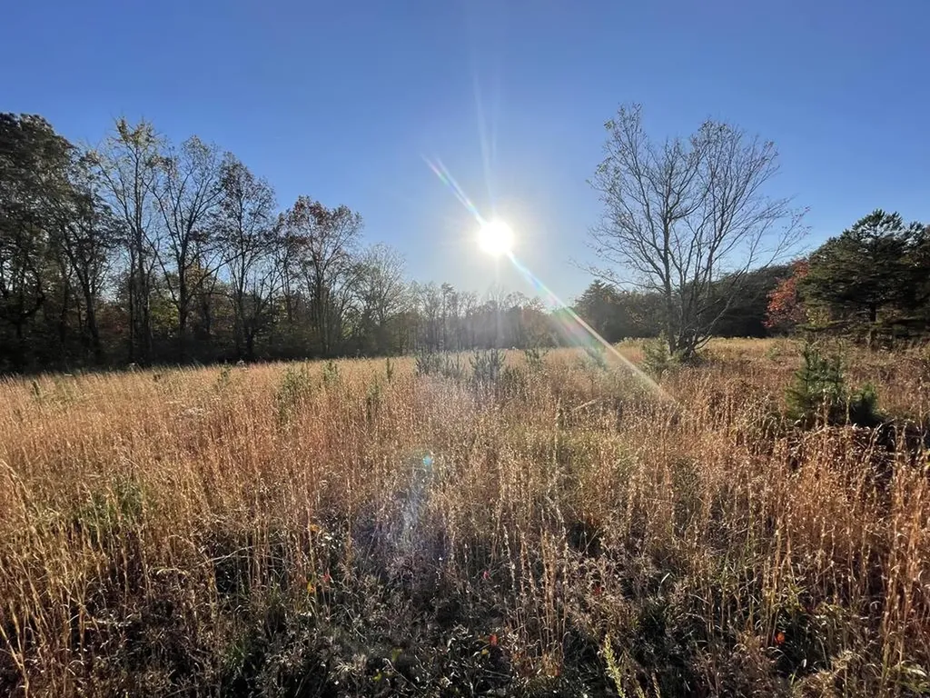 5361 Highway 70e Crossville TN 38555