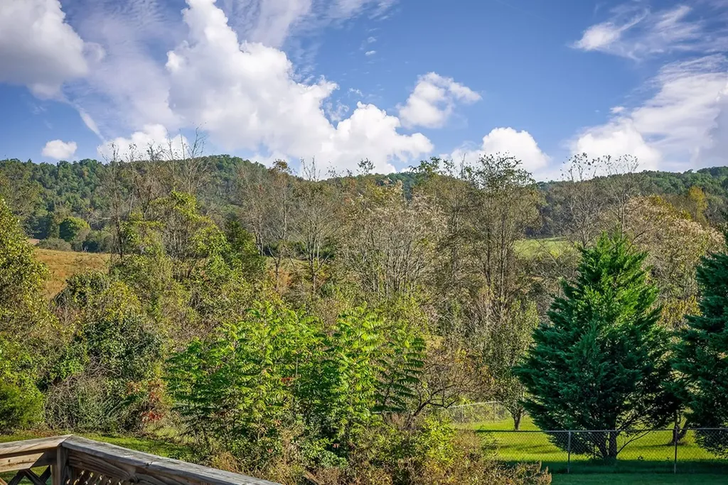 1945 Golden Mountain Road Sparta TN 38583