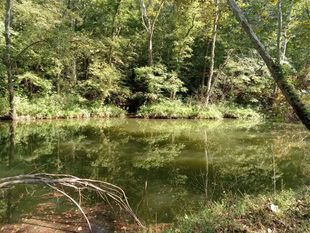 6750 Spencer Road Rock Island TN 38581