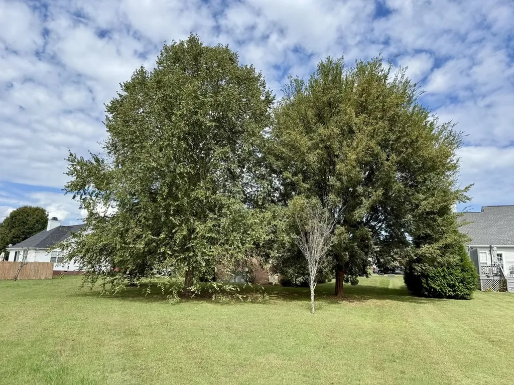 125 Maple Ridge Court Mcminnville TN 37110