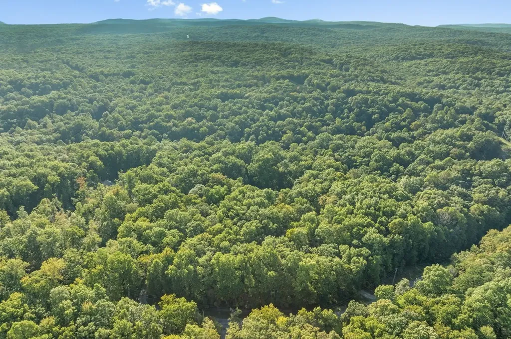 34 Cove Place Monterey TN 38574