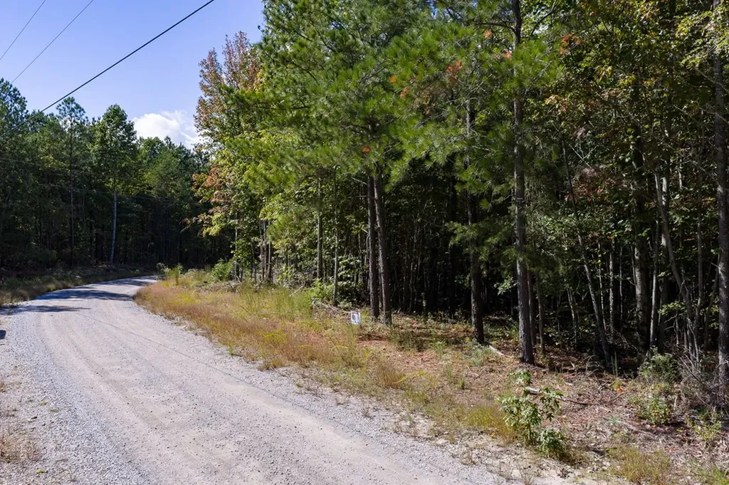Lot 60 Topside Drive Spencer TN 38585
