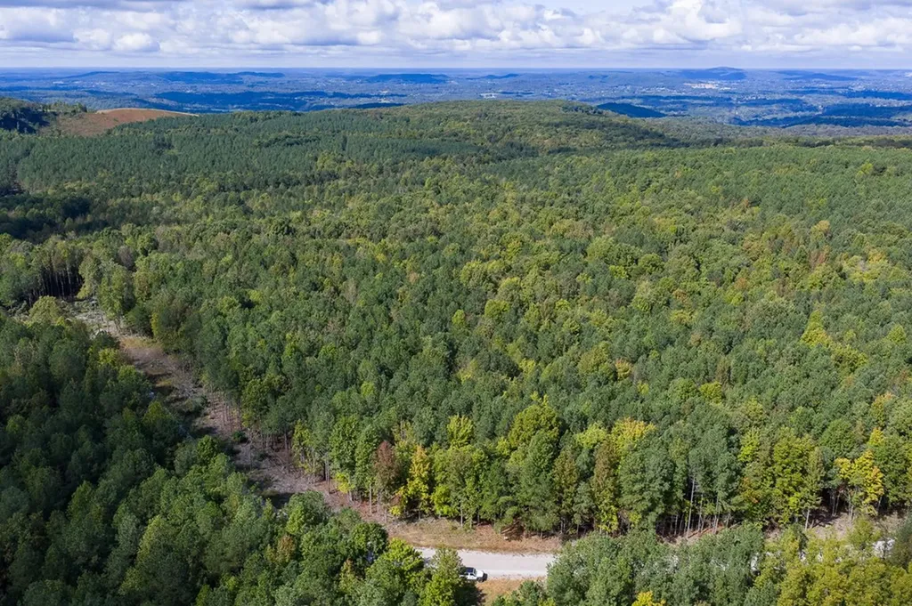 Lot 60 Topside Drive Spencer TN 38585