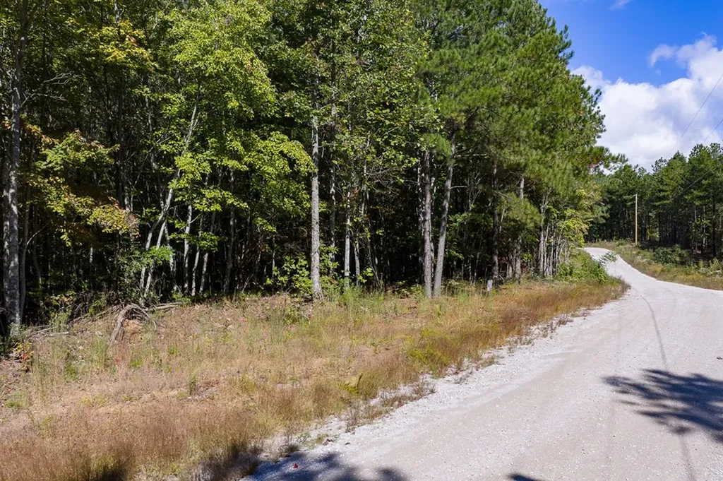 Lot 60 Topside Drive Spencer TN 38585