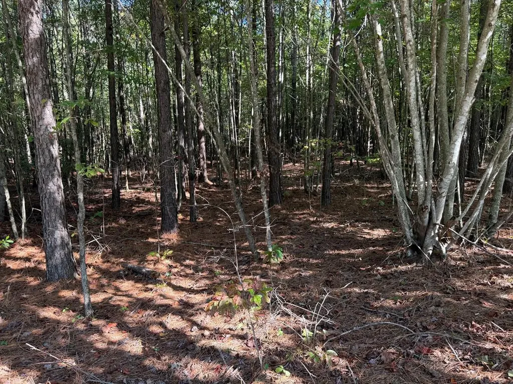 Lot 60 Topside Drive Spencer TN 38585