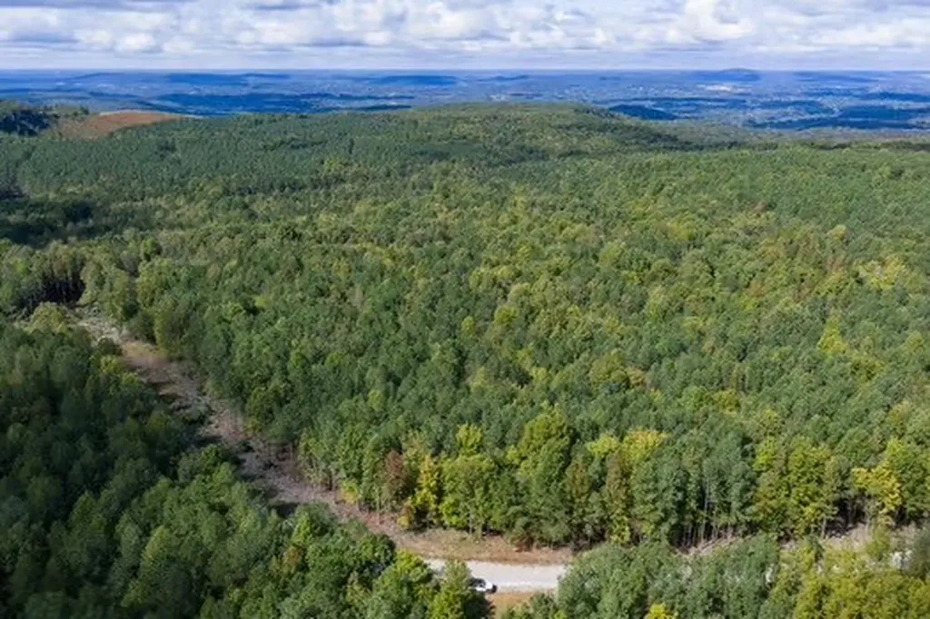 Lot 60 Topside Drive Spencer TN 38585