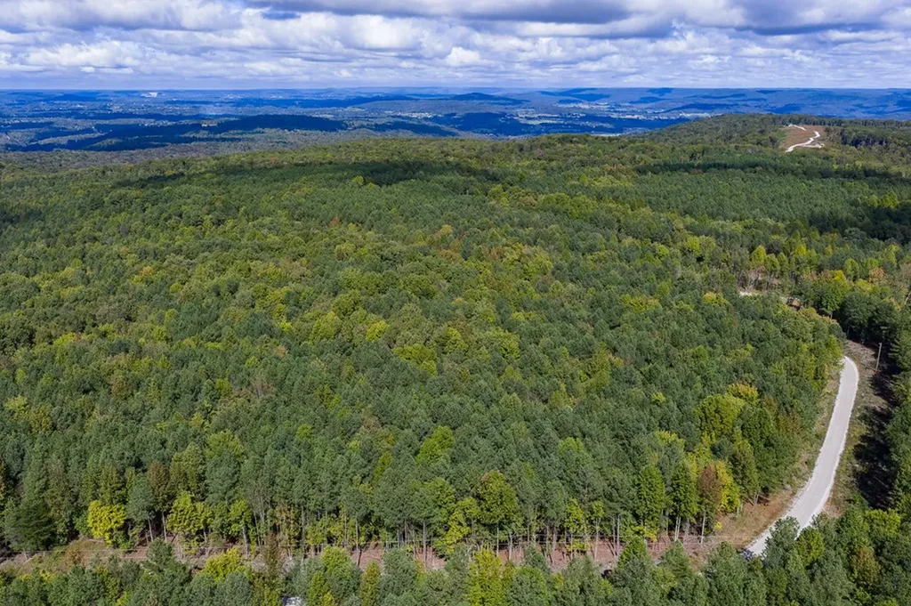 Lot 60 Topside Drive Spencer TN 38585