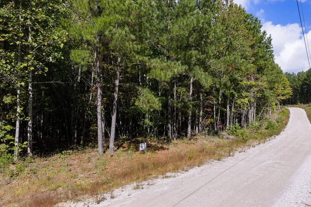 Lot 60 Topside Drive Spencer TN 38585