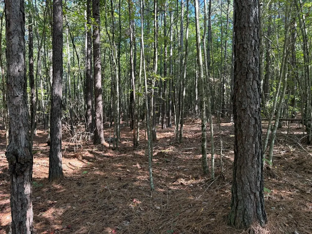 Lot 60 Topside Drive Spencer TN 38585