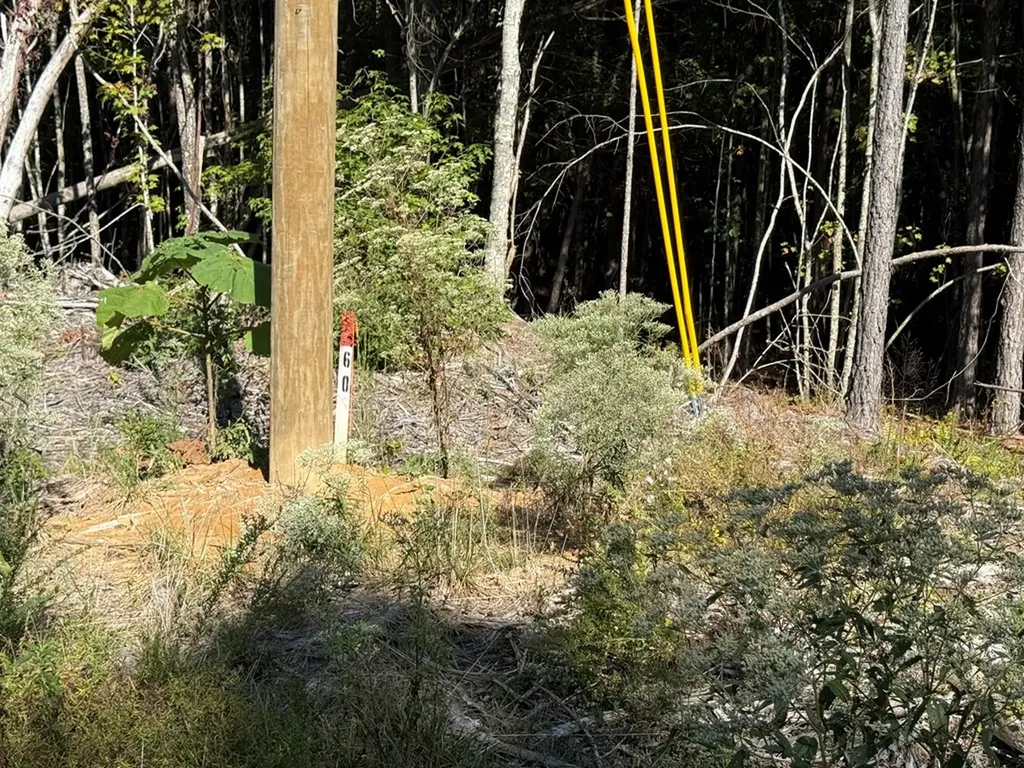 Lot 60 Topside Drive Spencer TN 38585