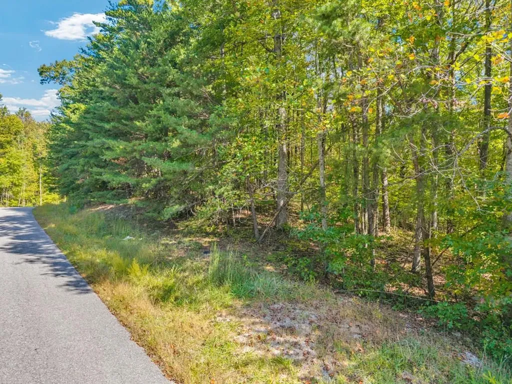Lot 3&4 W Laurel Way Monterey TN 38574