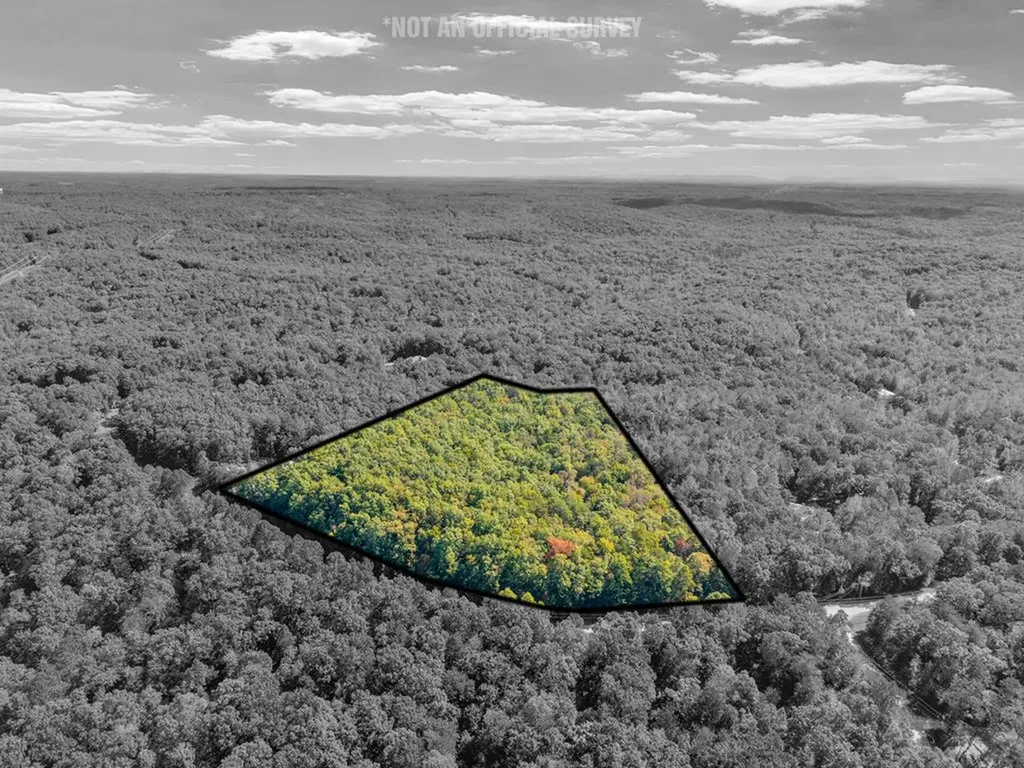 Lot 3&4 W Laurel Way Monterey TN 38574