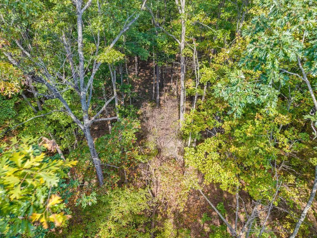 Lot 3&4 W Laurel Way Monterey TN 38574