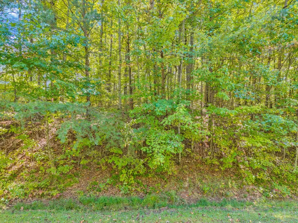Lot 3&4 W Laurel Way Monterey TN 38574