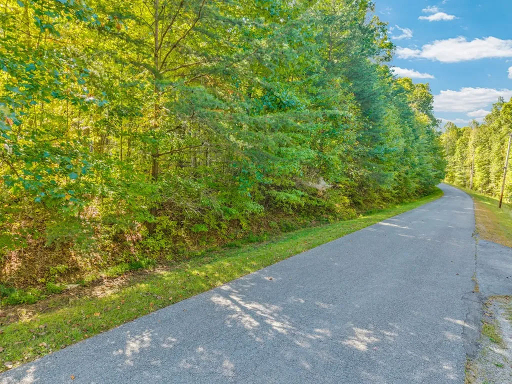 Lot 3&4 W Laurel Way Monterey TN 38574
