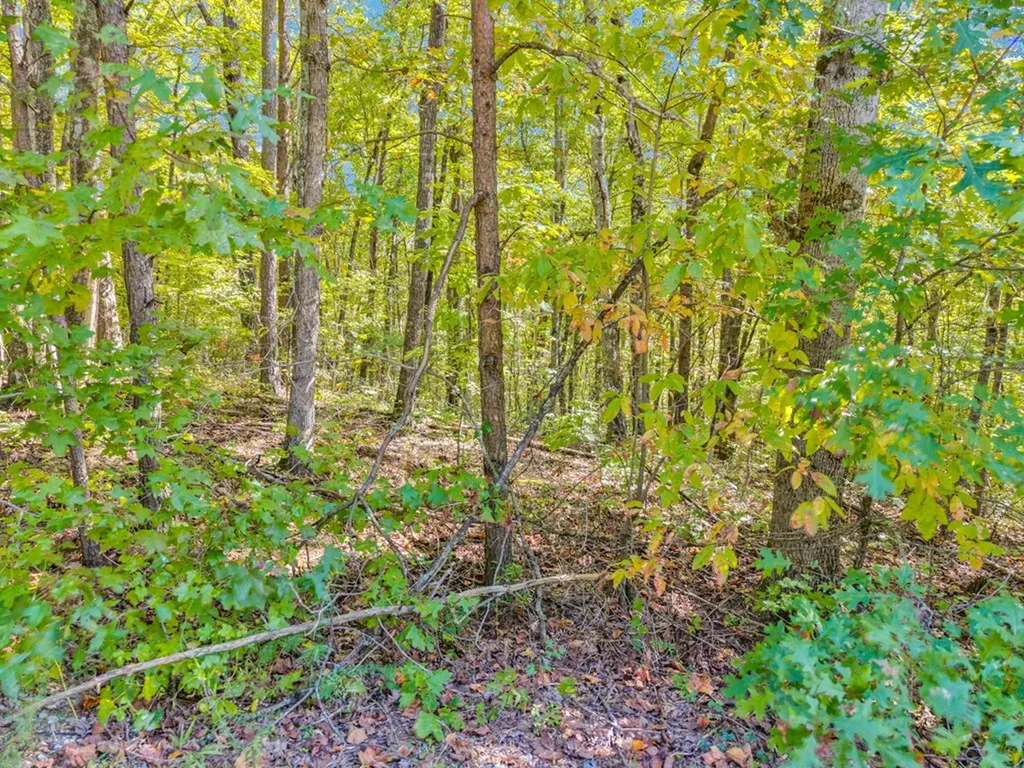 Lot 3&4 W Laurel Way Monterey TN 38574