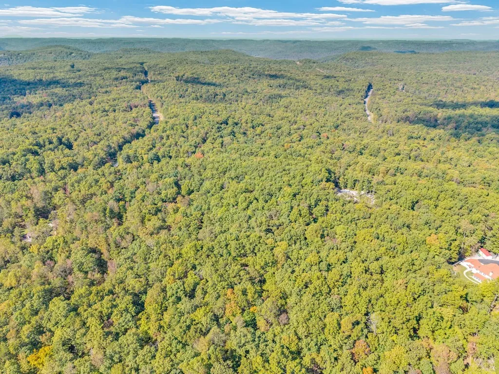 Lot 3&4 W Laurel Way Monterey TN 38574