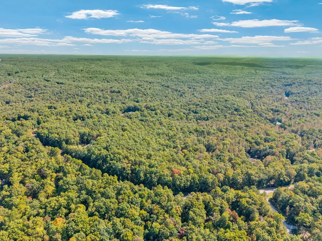 Lot 3&4 W Laurel Way Monterey TN 38574