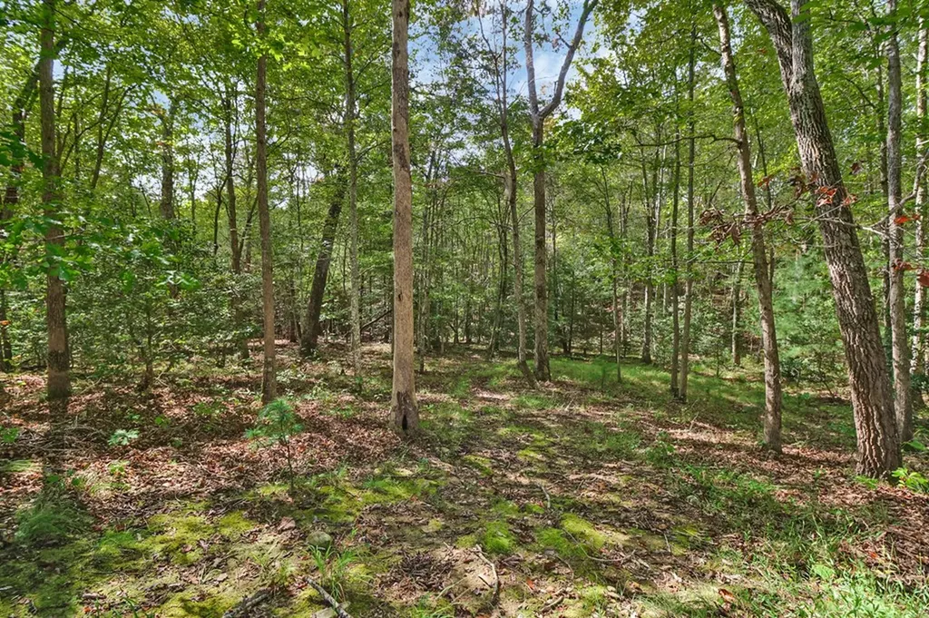 224 Victoria Circle Jamestown TN 38556-5178