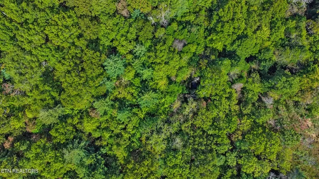 224 Victoria Circle Jamestown TN 38556-5178